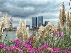 -星巴克(成都科学城店)