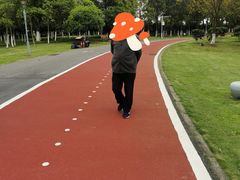 -瑶湖郊野森林公园