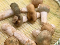 -牧雲子·臻选云南菜 .商务宴请(泰然大厦店)