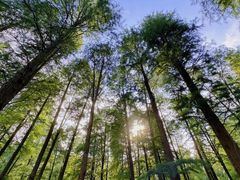 -东钱湖旅游度假区