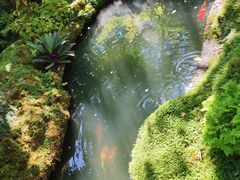 -Chom Cafe and Restaurant