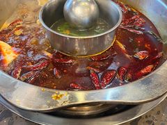 -金鼎雪山牦牛杂火锅(理县总店)