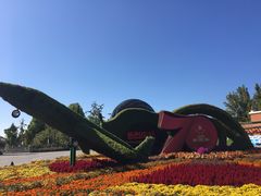 -大兴滨河森林公园