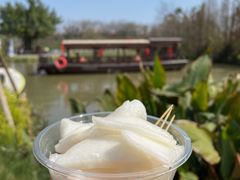 -江门古劳水乡旅游区