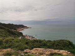 -广东惠东海龟国家级自然保护区