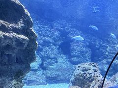 -南昌海洋公园