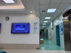 -北京观赏动物医院·24小时大型综合·猫专科·异宠专科