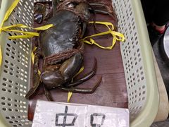 -龙海鲜螃蟹王(宏茂桥店)