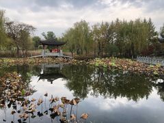 -武汉园博园(武汉自然博物馆)