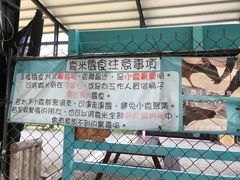 -鹿境梅花鹿生态园区