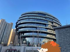 -首都医科大学宣武医院