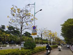 -Torch Coffee 炬点咖啡