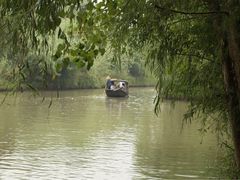 -溱湖国家湿地公园