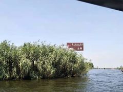 -白洋淀景区