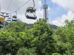 -富斯特索道