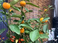 -亩沣记秘汁凉皮·兰州特色