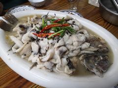 水库鱼-杨厝六十六农庄农舍(杨厝路店)