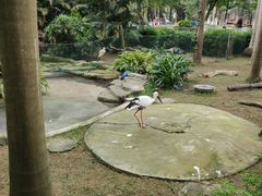 -南宁市动物园