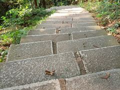 -水濂山森林公园