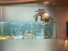 -星巴克臻选(嘉定疁城国际店)