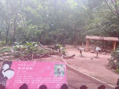 -深圳野生动物园