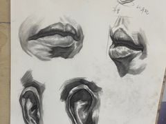 -盖画室·中高考艺考·三校生美术