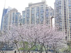 -西北湖绿化广场