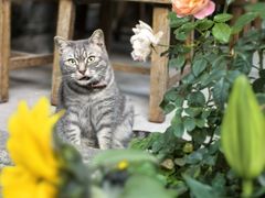 -老屋咖啡