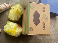 -马陆小张葡萄园农家乐