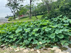 -文华公园(禅城区)