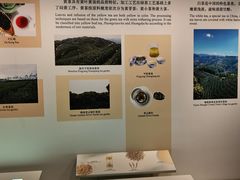 -中国茶叶博物馆(双峰馆区)