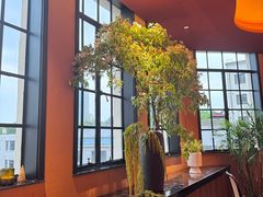 -滇野云南野生菌餐厅(陕西南路店)