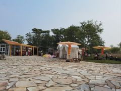 -天津东丽湖风景区