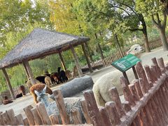 -上海野生动物园