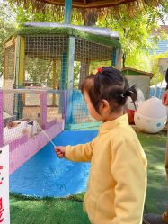 -萌宠亲子动物乐园(槐房万达店)