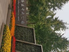 -重庆市江北嘴中央商务区中央公园