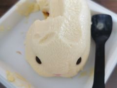 -维尔纳斯·生日蛋糕动物奶油冰淇淋蛋糕(人大店)