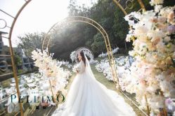 -派丽莫Pellimo原创设计婚纱品牌