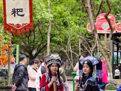 -桂林古东瀑布景区
