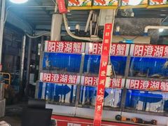 -上海龙吴水胜海发市场