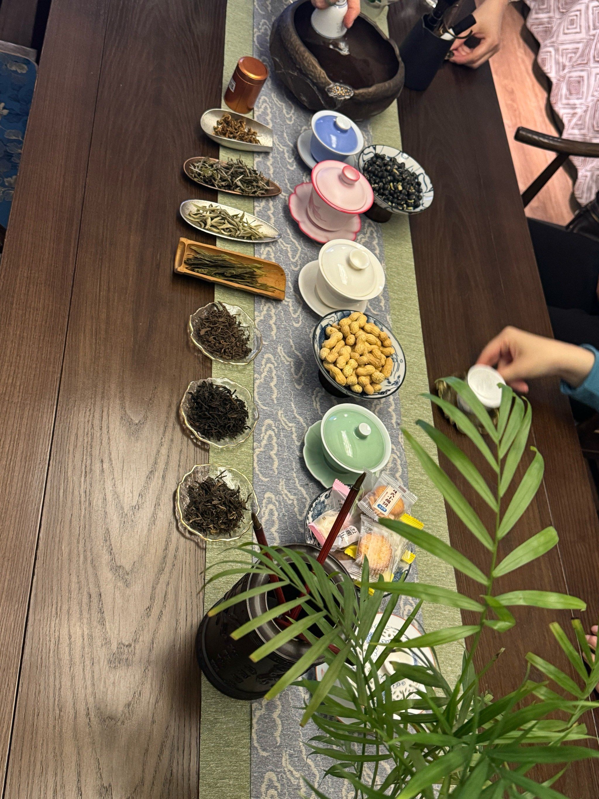 惊艳了时光.喝茶是中国人的浪漫,择一城终老,泡一壶回忆