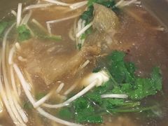 -大中鱼翅 Taitong Shark Fin