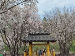 -黑龙江省森林植物园