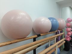-中央芭蕾舞团·中芭艺蕾(酒仙桥明星校区)