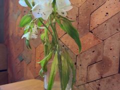 -一坐一忘云南菜(三里屯店)