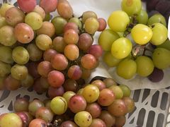 -马陆小张葡萄园农家乐