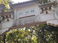 -梧桐山风景名胜区