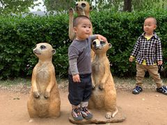 -秦皇岛野生动物园
