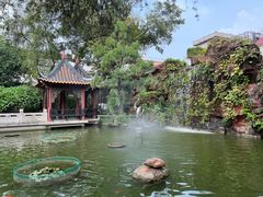 -碧江金楼