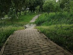 -永定河休闲森林公园